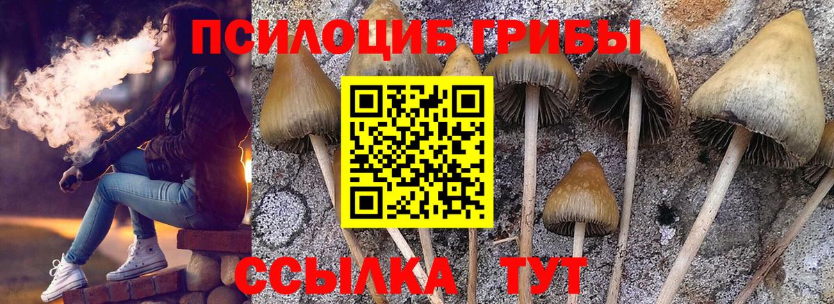 Дзержинский  Галлюциногенные грибы Cubensis  Псилоцибиновые грибы мухоморы  Вход с VPN 