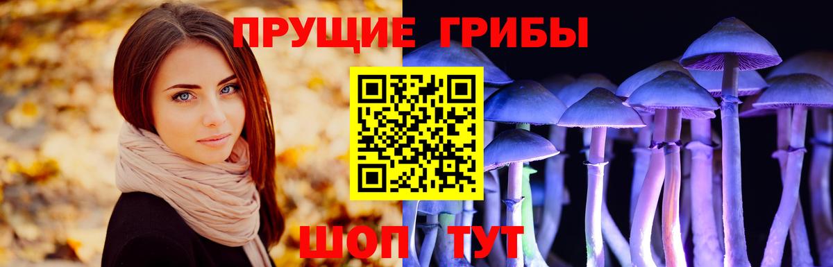 Псилоцибиновые грибы Magic Shrooms Дзержинский