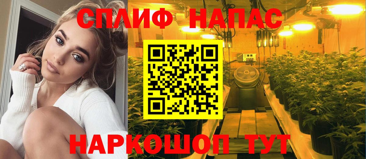 Дзержинский  Каннабис SATIVA & INDICA  Каннабис планчик  Вход с VPN 